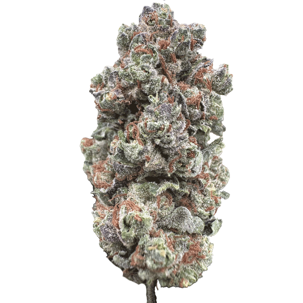 Grandaddy Purp - Image 2