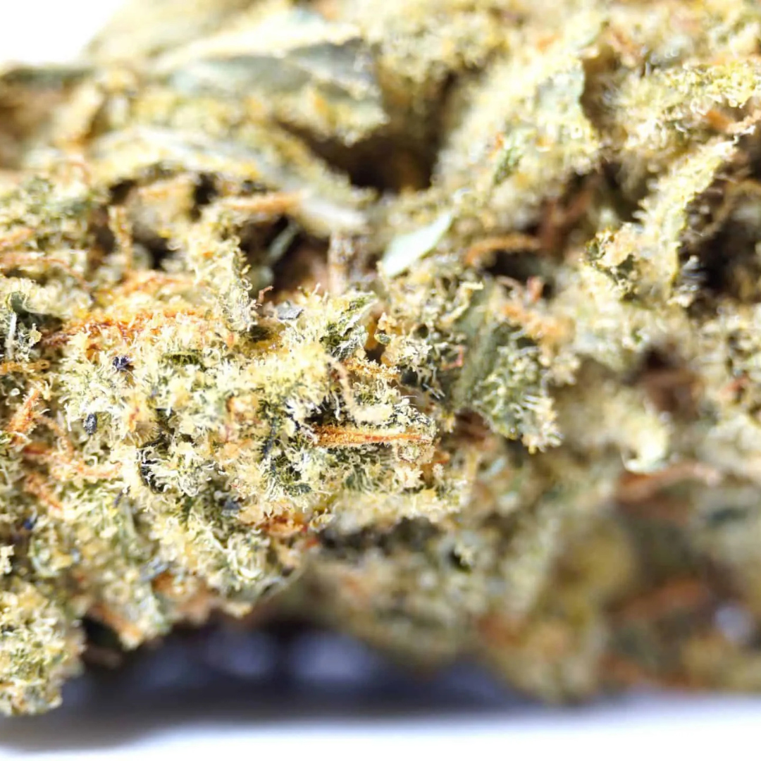 Silver Haze - Image 4