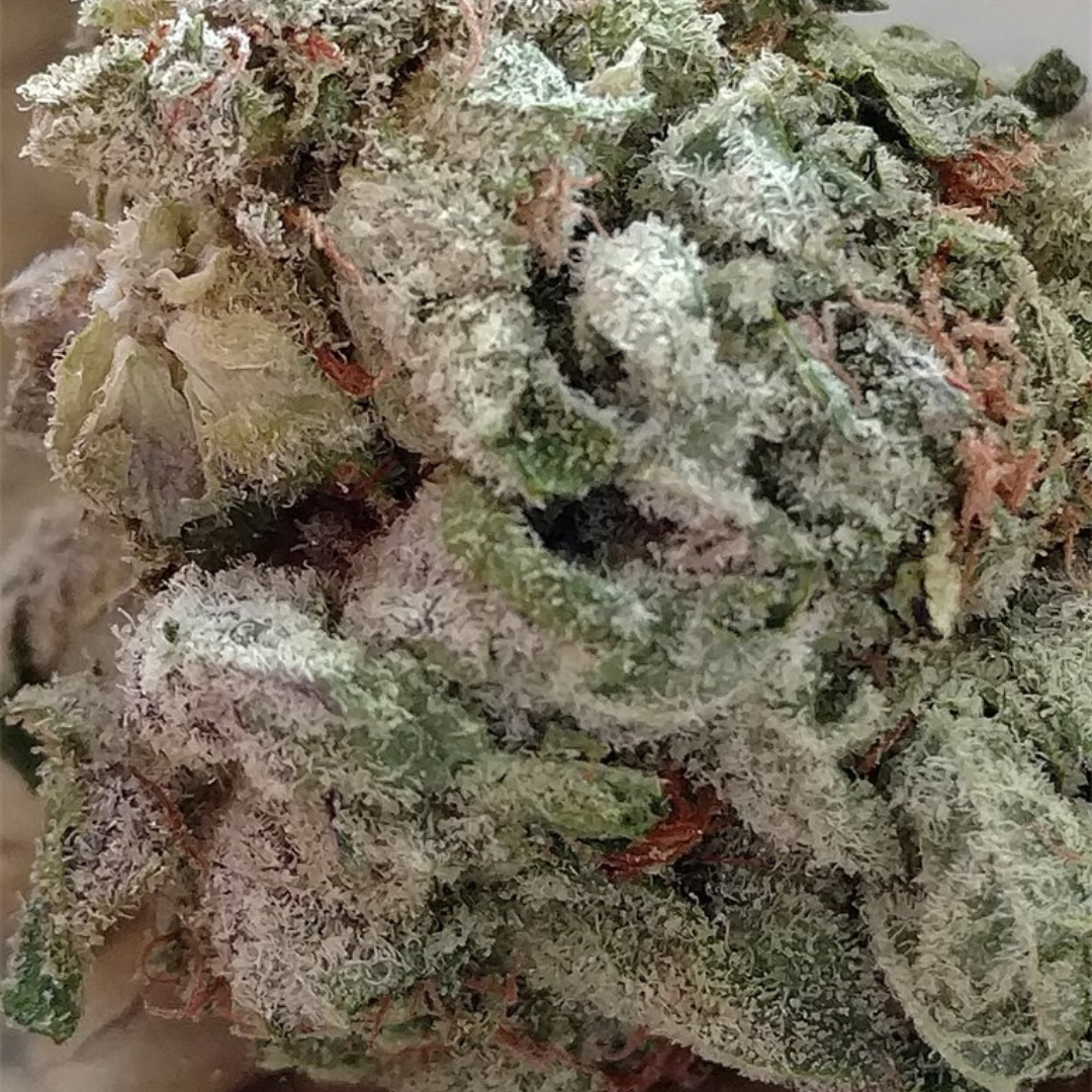 Silver Haze - Image 3