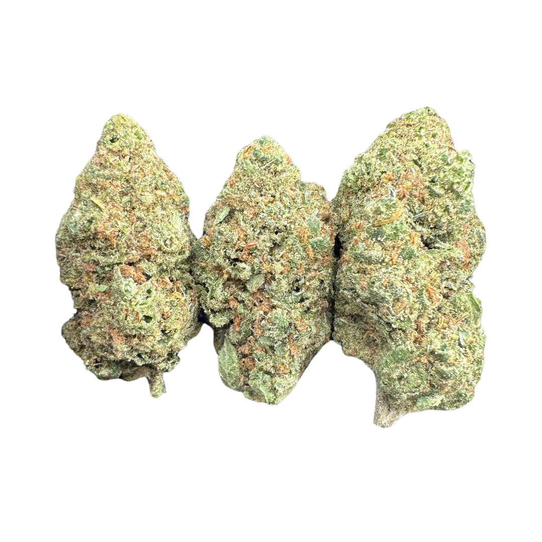 Jack Black (Jack Herer) - Image 3