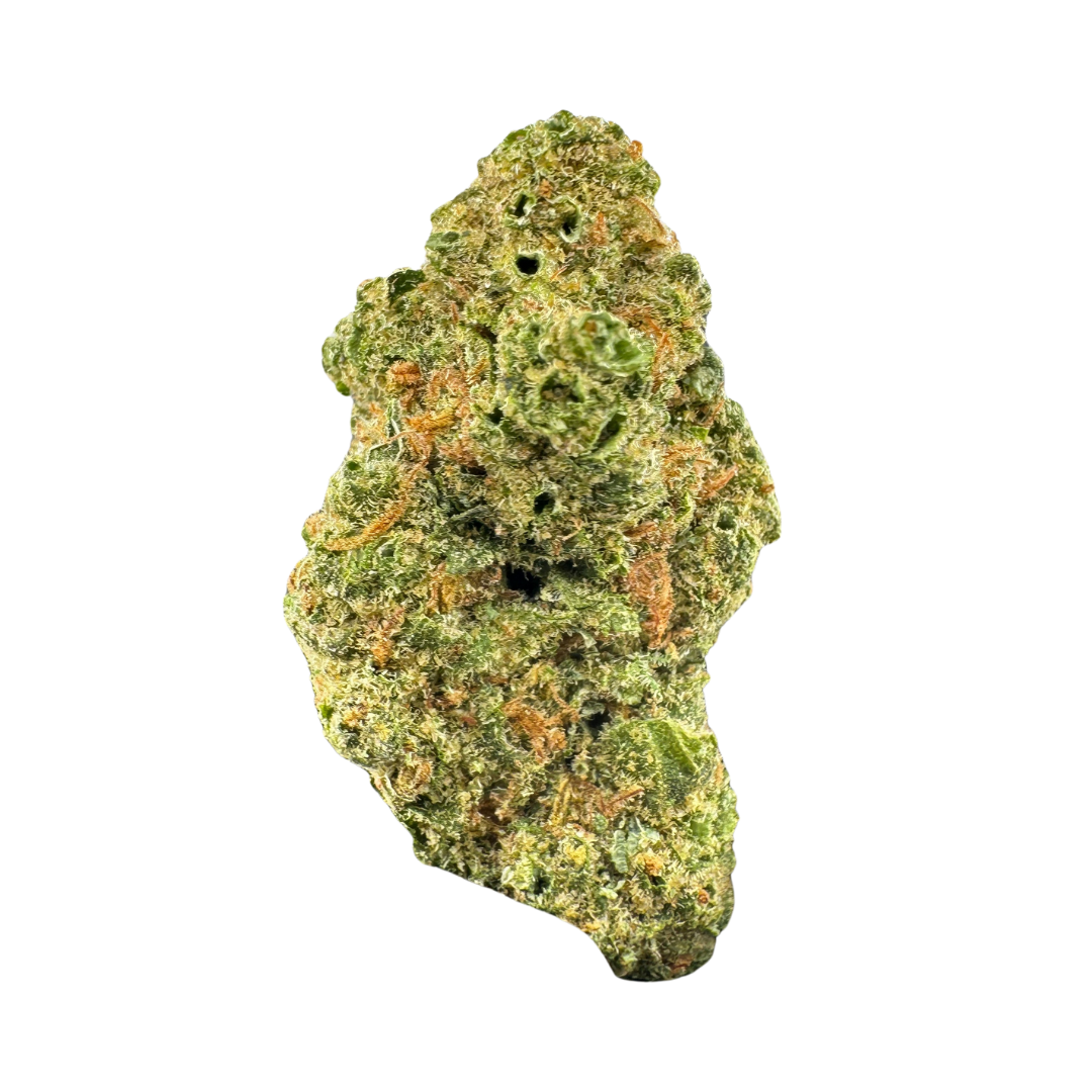 Jack Black (Jack Herer) - Image 2