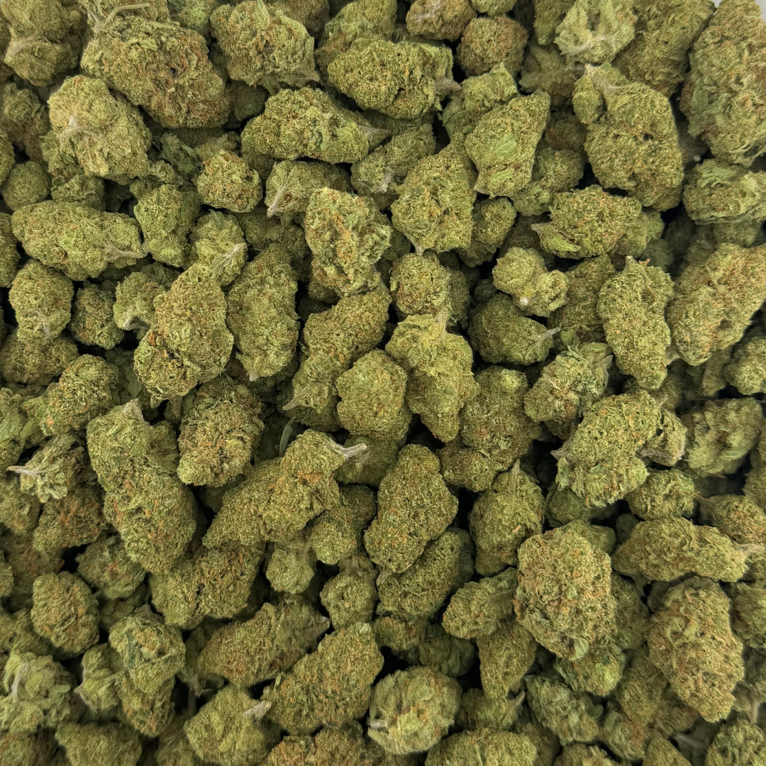 Jack Black (Jack Herer) - Image 4