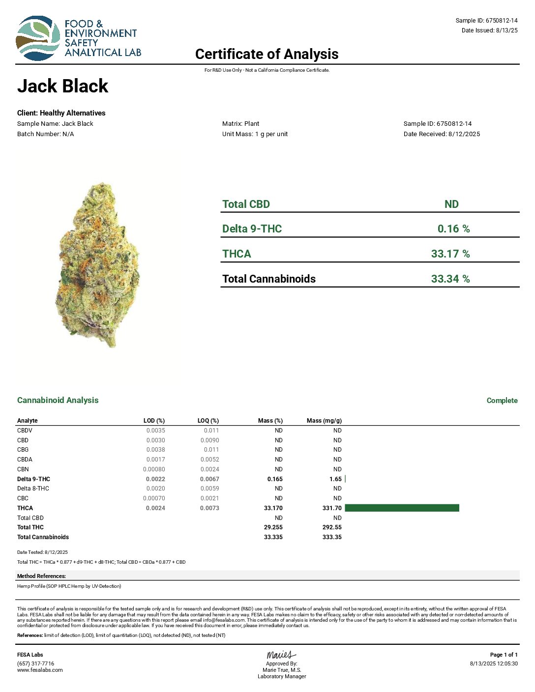 Jack Black (Jack Herer) - Image 5
