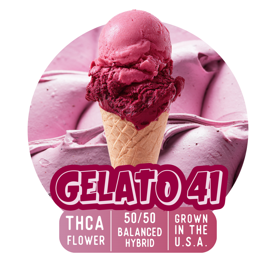 Gelato 41