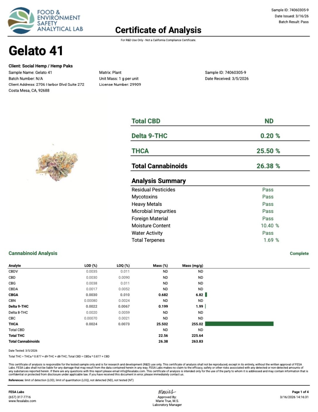 Gelato 41 - Image 3