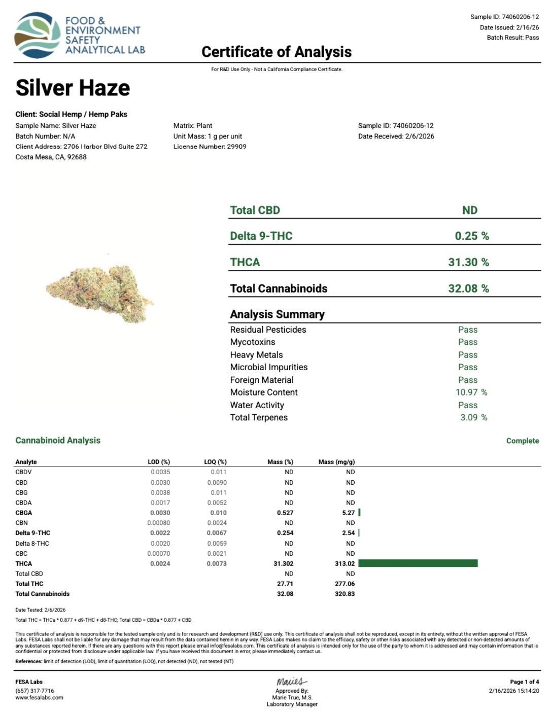 Silver Haze - Image 6
