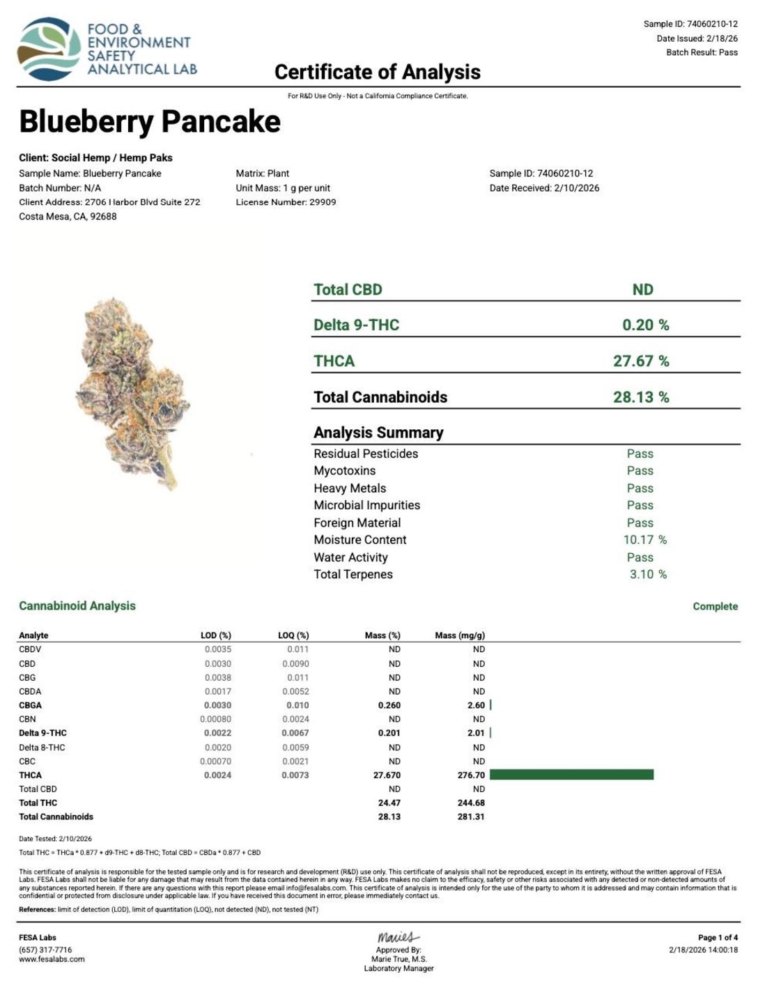 Blueberry Pancakes - Image 5