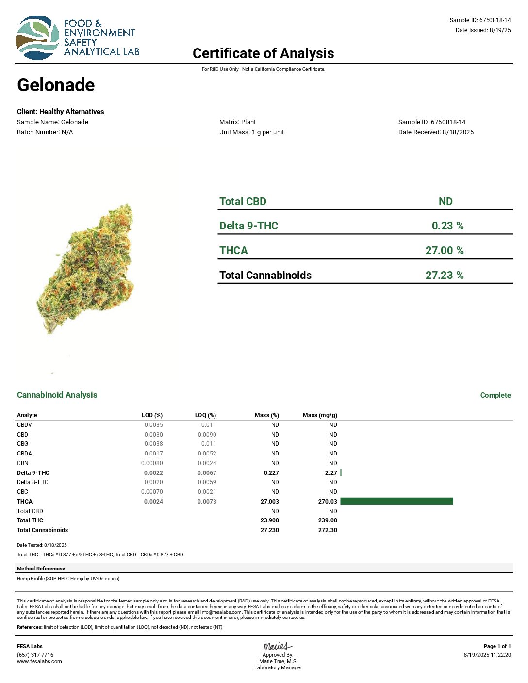 Gelonade - Image 5