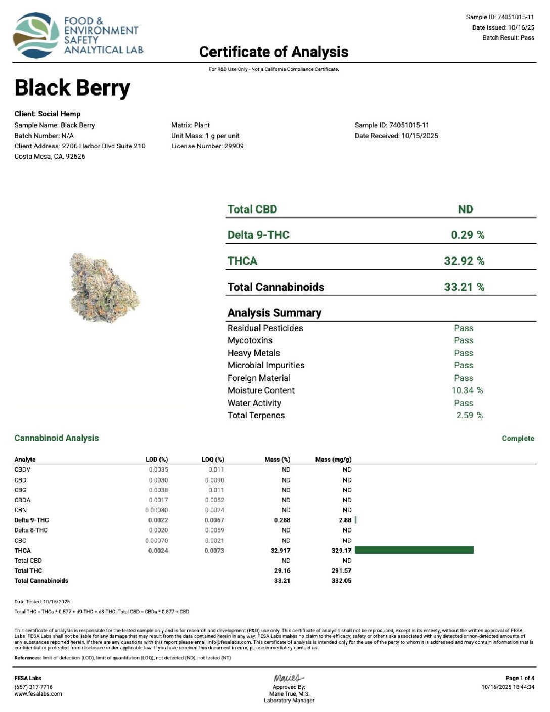 Blackberry - Image 3