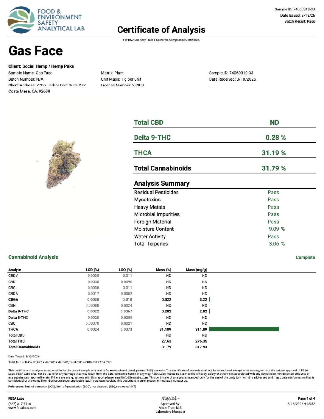 Gas Face - Image 3