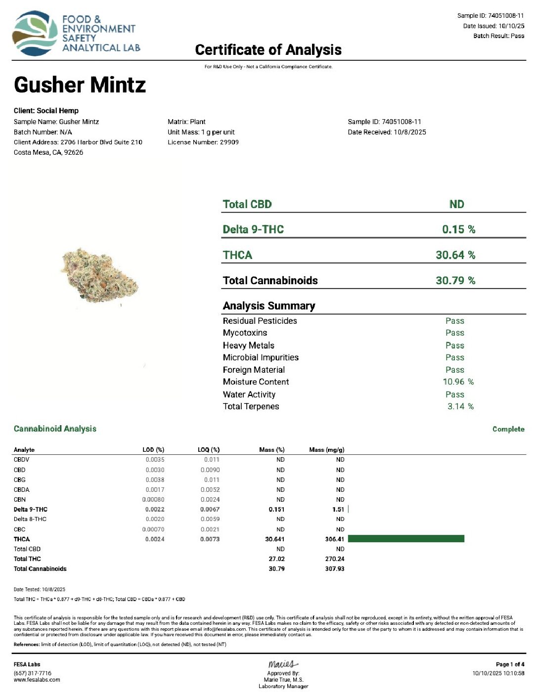 Gusher Mintz - Image 3